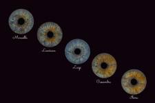 Jean-Marc PENRATH - STUDIO DES VIGNES D'AVARICUM