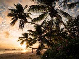 Antoine PIHEN - Antoine Pihen Photographe